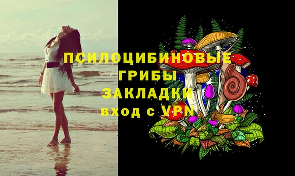 не бодяженный Новодвинск
