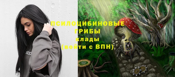 экстази Няндома