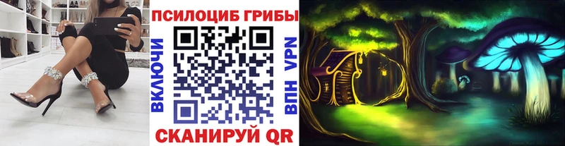 Галлюциногенные грибы прущие грибы  Кодинск 